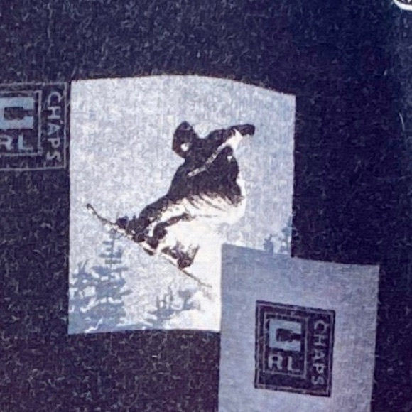 Ralph Lauren Chaps Mountain Gear snowboard Printed polo shirt Sz L USA - Picture 4 of 11